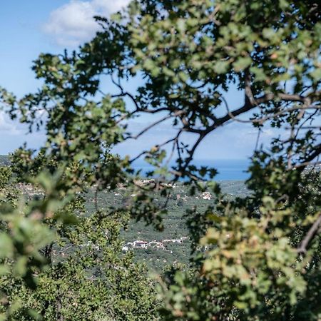 Velanis Ηouse, Style Into Nature - Secluded Kissamos Ngoại thất bức ảnh